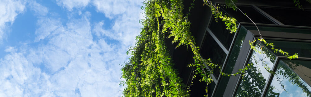 25 WEBART065 Environment Protection and Biodiversity 1400x450 Web