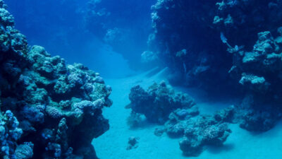 Deep sea mining Considerations for critical minerals investors Desktop